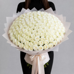 101 белая роза